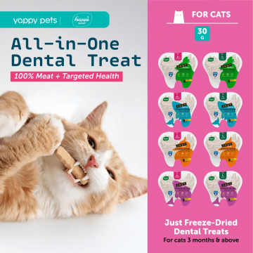 Happi Skippi Treats Just Freeze Dried Salmon & Catnip 30g (3 packs) Happi Skippi Treats Just Freeze Dried Salmon & Catnip 30g (3 packs)